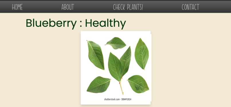 Plantify – screenshot 2