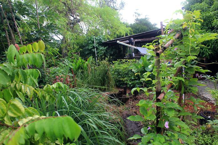 Permaculture – screenshot 1