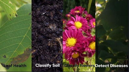 Green Stems – screenshot 3