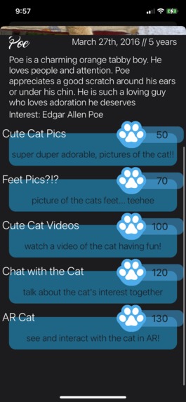 OnlyCats – screenshot 1