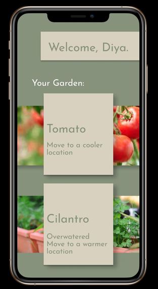 GardenGo – screenshot 4