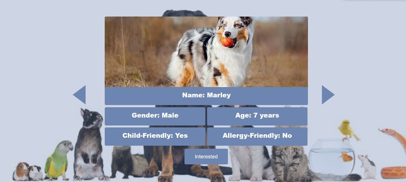 Fur-Ever Friends – screenshot 3