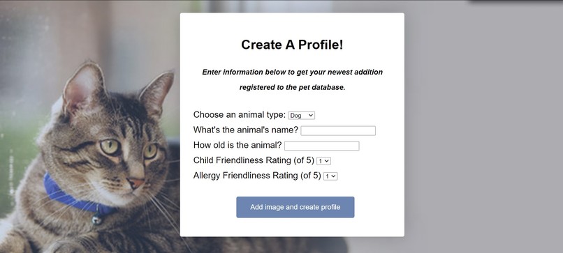 Fur-Ever Friends – screenshot 4