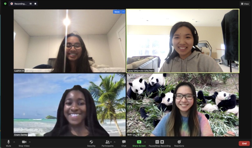 Mr. Turtle – screenshot 7