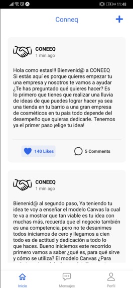 CONEEQ – screenshot 7
