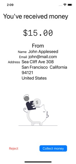 Rapyd Pay – screenshot 17