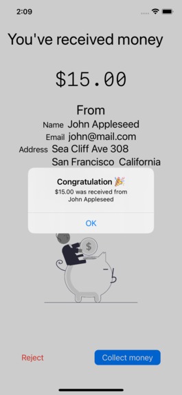 Rapyd Pay – screenshot 18