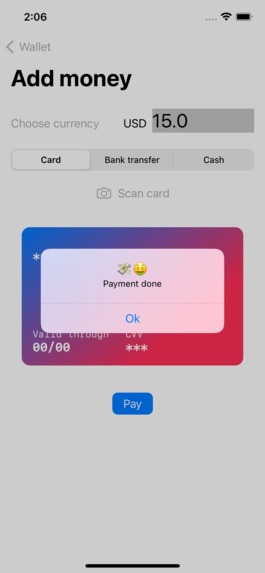 Rapyd Pay – screenshot 4