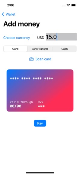 Rapyd Pay – screenshot 2