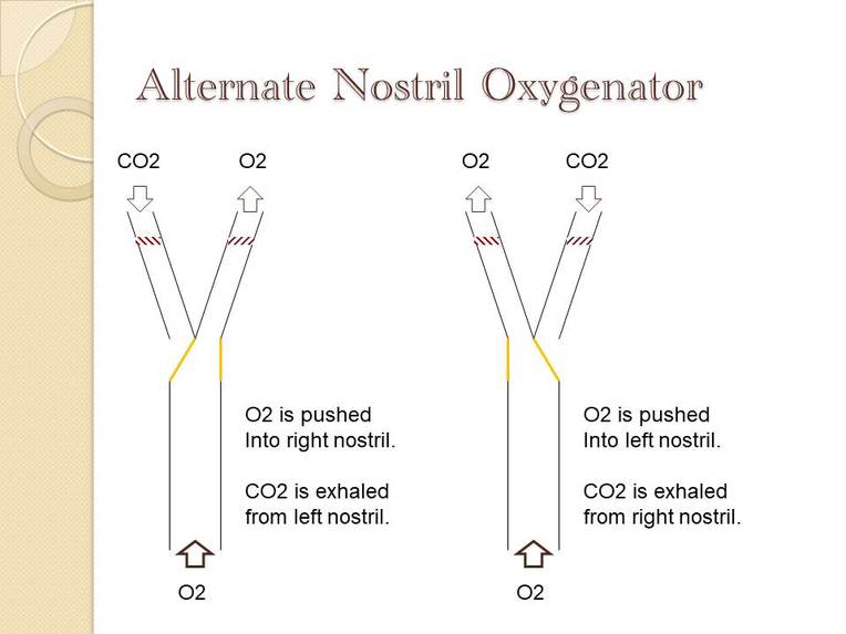 Alternate Nostril Oxygenator – screenshot 1