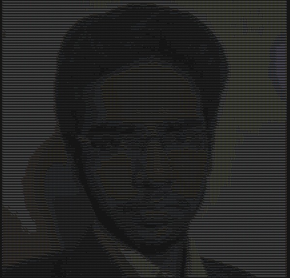 AsciiCam - Webcam for your terminal window – screenshot 2