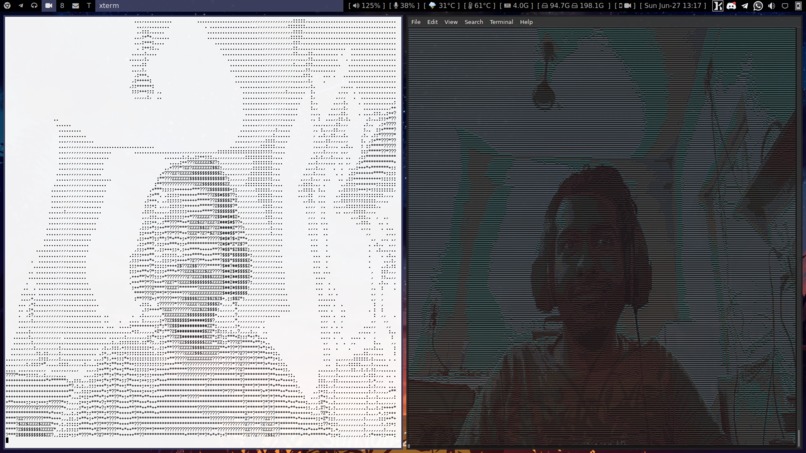AsciiCam - Webcam for your terminal window – screenshot 4