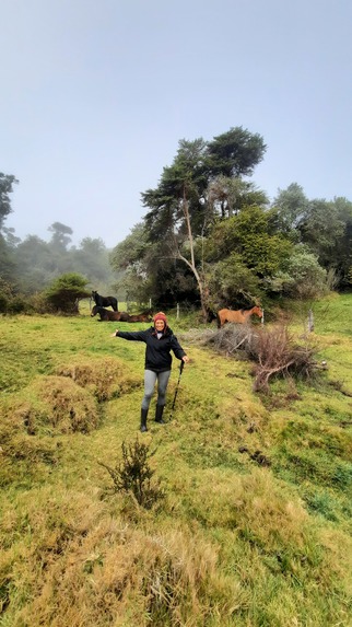 BioAdventures : Learn, Move & Explore – screenshot 8