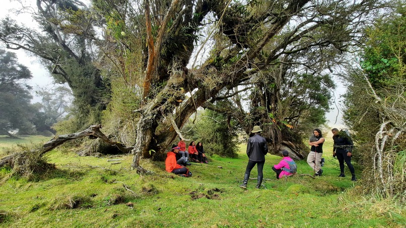 BioAdventures : Learn, Move & Explore – screenshot 9