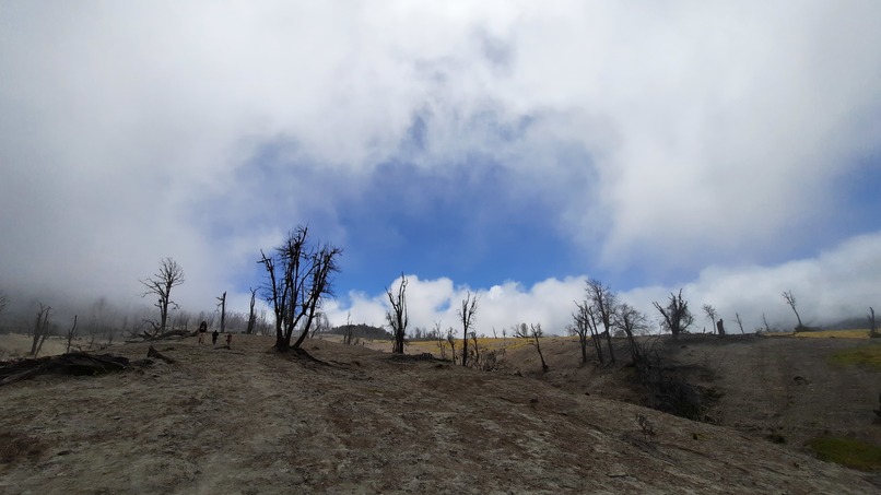 BioAdventures : Learn, Move & Explore – screenshot 10