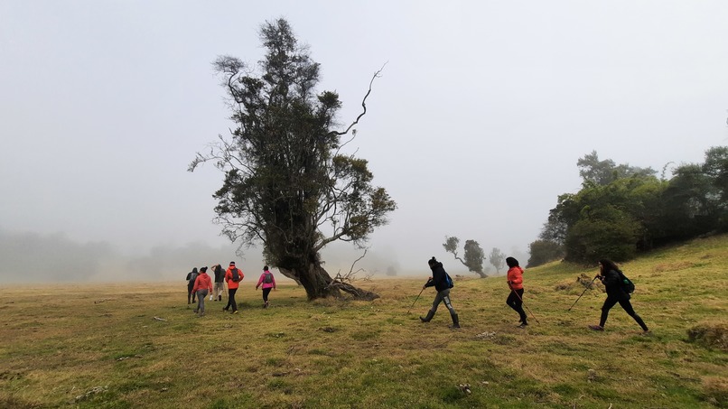 BioAdventures : Learn, Move & Explore – screenshot 11