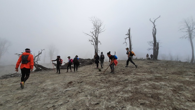 BioAdventures : Learn, Move & Explore – screenshot 12