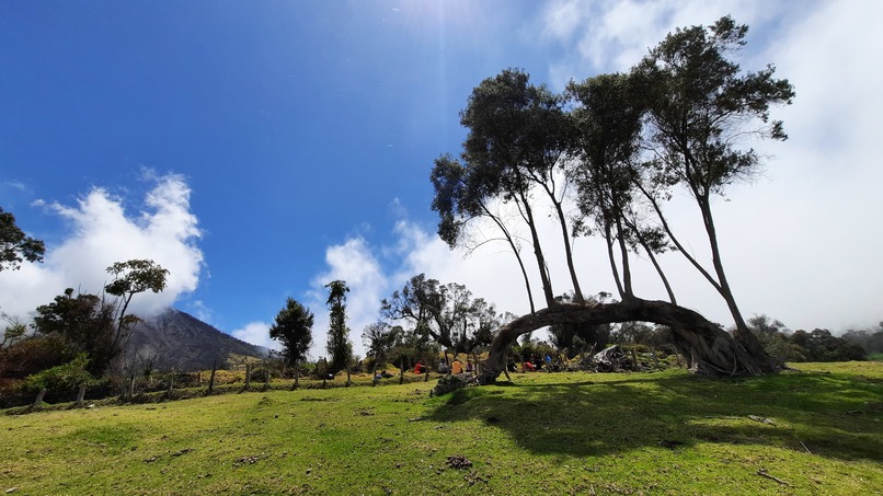 BioAdventures : Learn, Move & Explore – screenshot 15