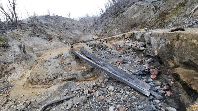 BioAdventures : Learn, Move & Explore – screenshot 19