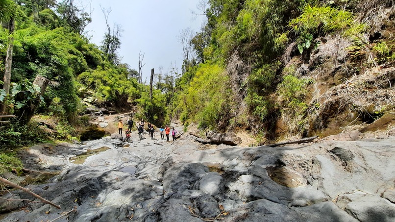 BioAdventures : Learn, Move & Explore – screenshot 20