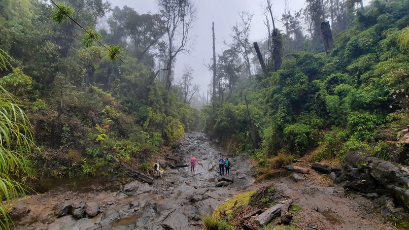 BioAdventures : Learn, Move & Explore – screenshot 25