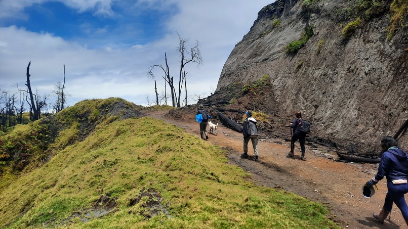 BioAdventures : Learn, Move & Explore – screenshot 26