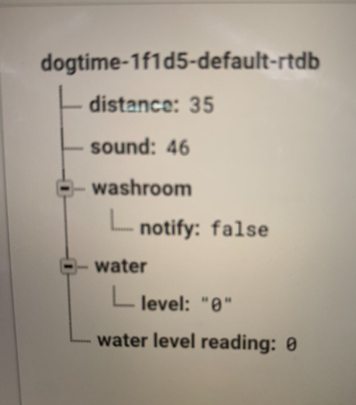 DogTime – screenshot 3