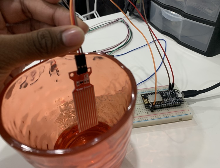 DogTime – screenshot 2