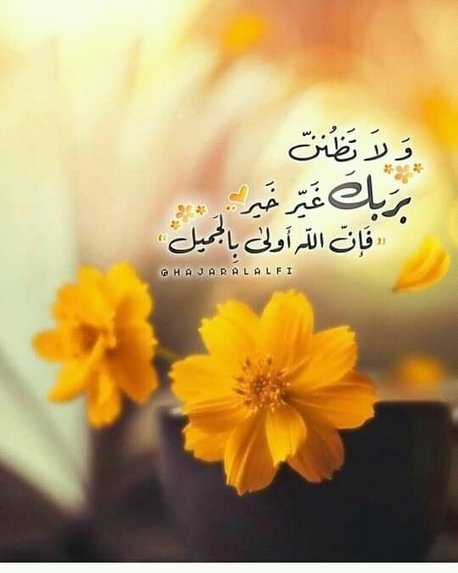 Ezzaldin – screenshot 3