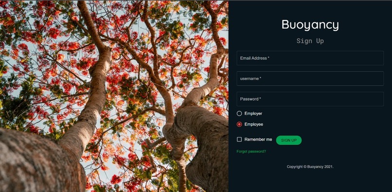Buoyancy – screenshot 2