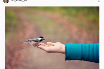 Instagram UI 