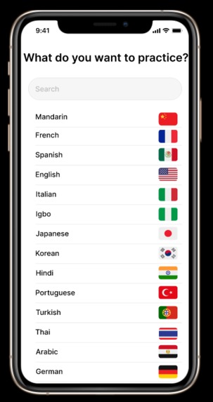 Team Maroon-LinguaFriends – screenshot 3