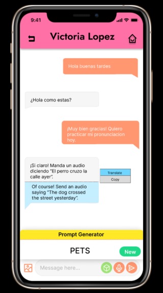 Team Maroon-LinguaFriends – screenshot 4