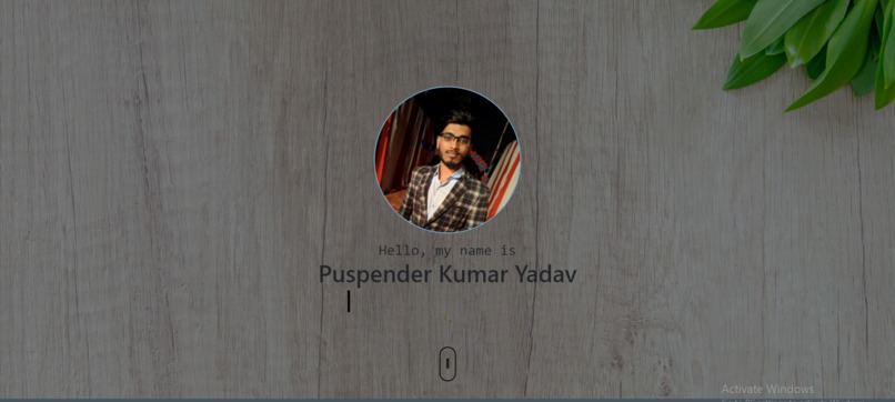 Portfolio – screenshot 1