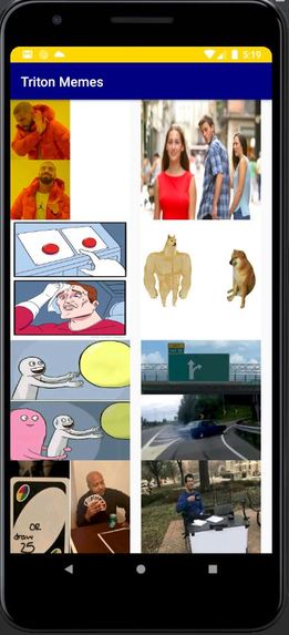 Triton Memes – screenshot 3