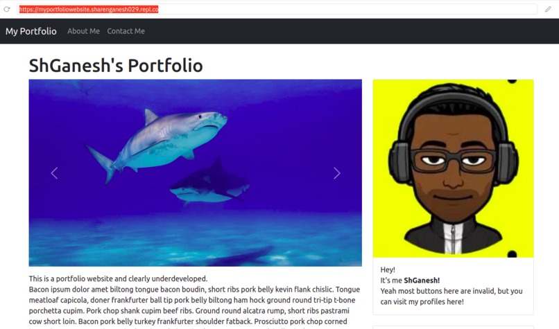 Build and Host a Personal Website using Replit – screenshot 3