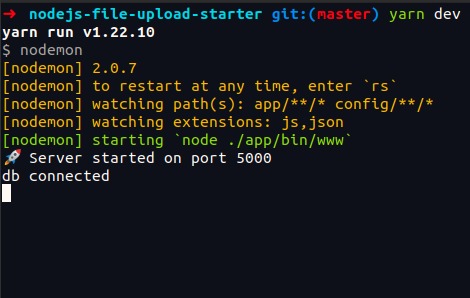 Nodejs-file-upload-starter – screenshot 1