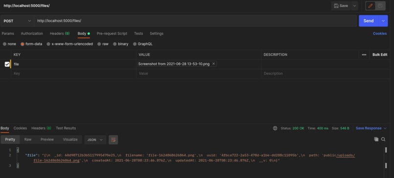 Nodejs-file-upload-starter – screenshot 3
