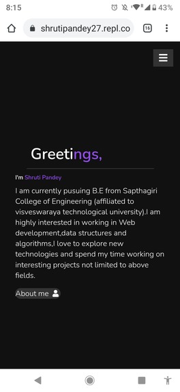 Website using replit – screenshot 1