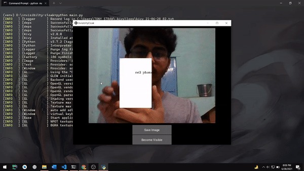 Invisibility Cloak (...sort of) – screenshot 1