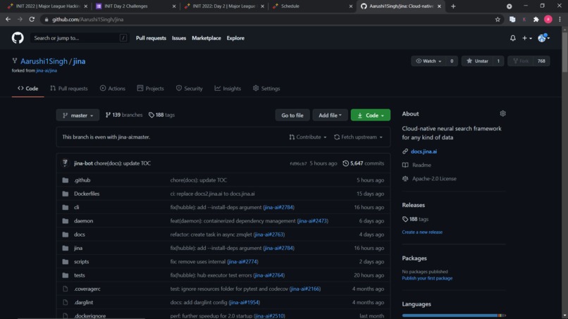 Jina repository – screenshot 1