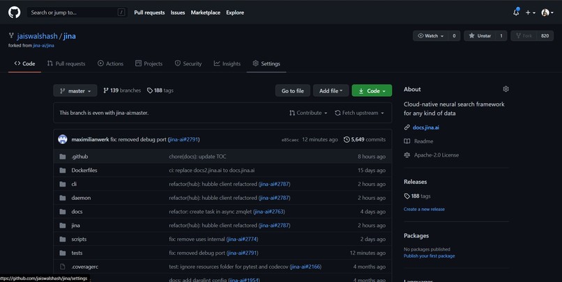 Starred and forked Jina Github Repo – screenshot 1