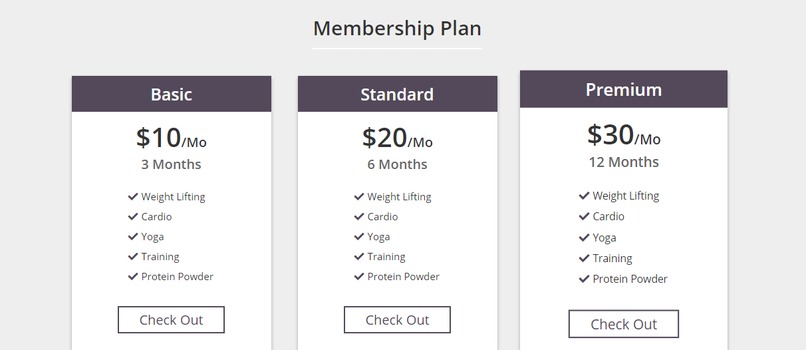 A beautiful and  responsive fitness website  – screenshot 2