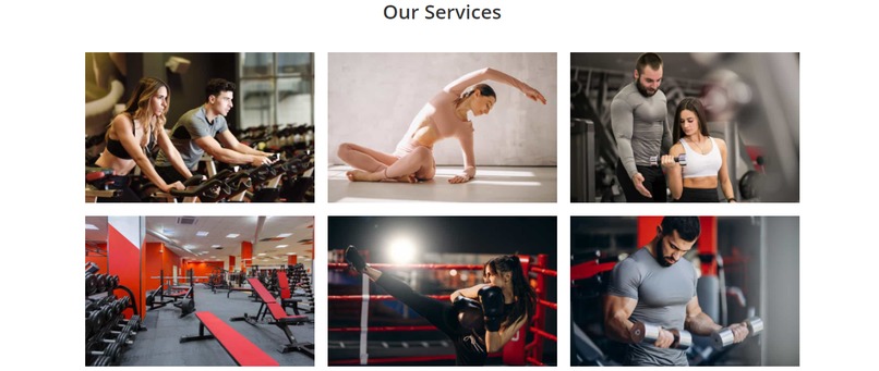 A beautiful and  responsive fitness website  – screenshot 6