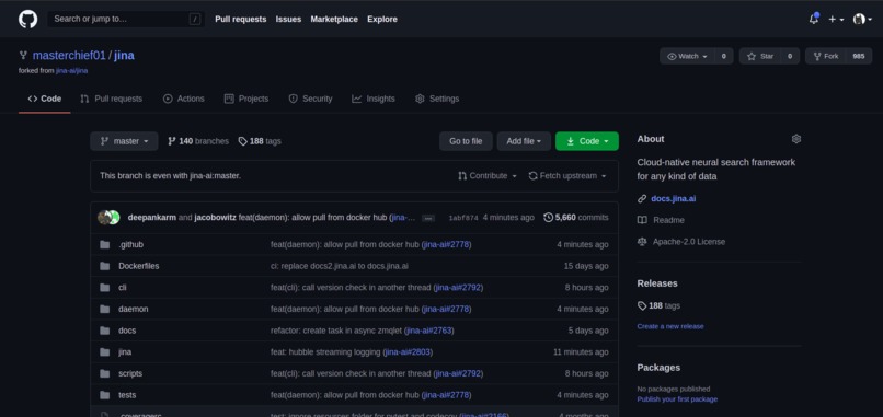 https://github.com/masterchief01/jina – screenshot 1