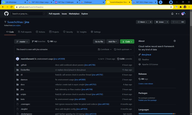 Fork and Star the Jina GitHub Repository – screenshot 1