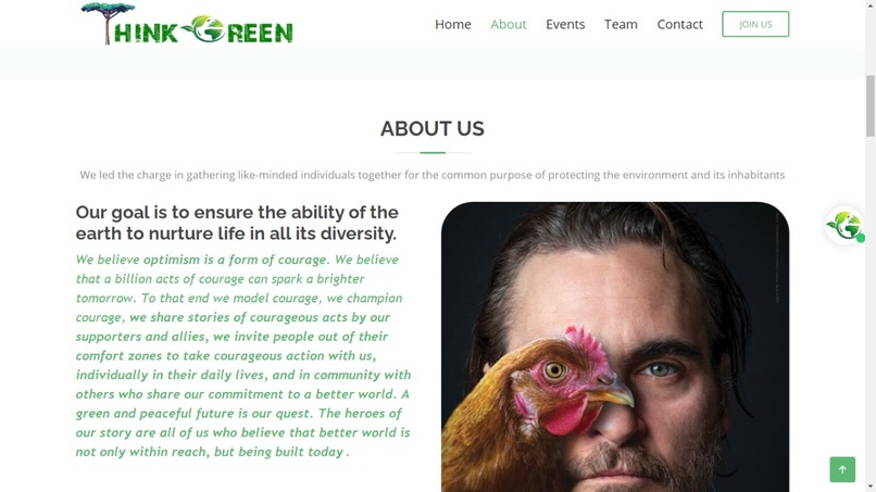 ThinkGreen Website – screenshot 2