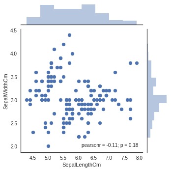 Data Visualization on Iris Dataset – screenshot 4