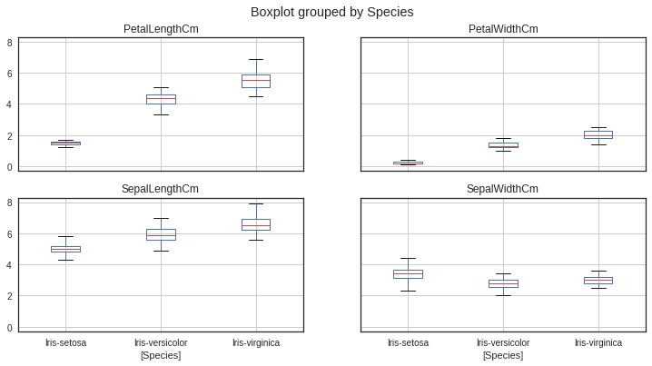 Data Visualization on Iris Dataset – screenshot 6