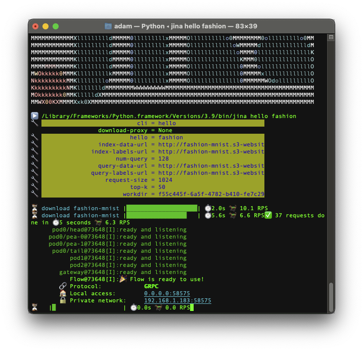 Download Jina and build one of their ‘Hello World’ projects | Devpost
